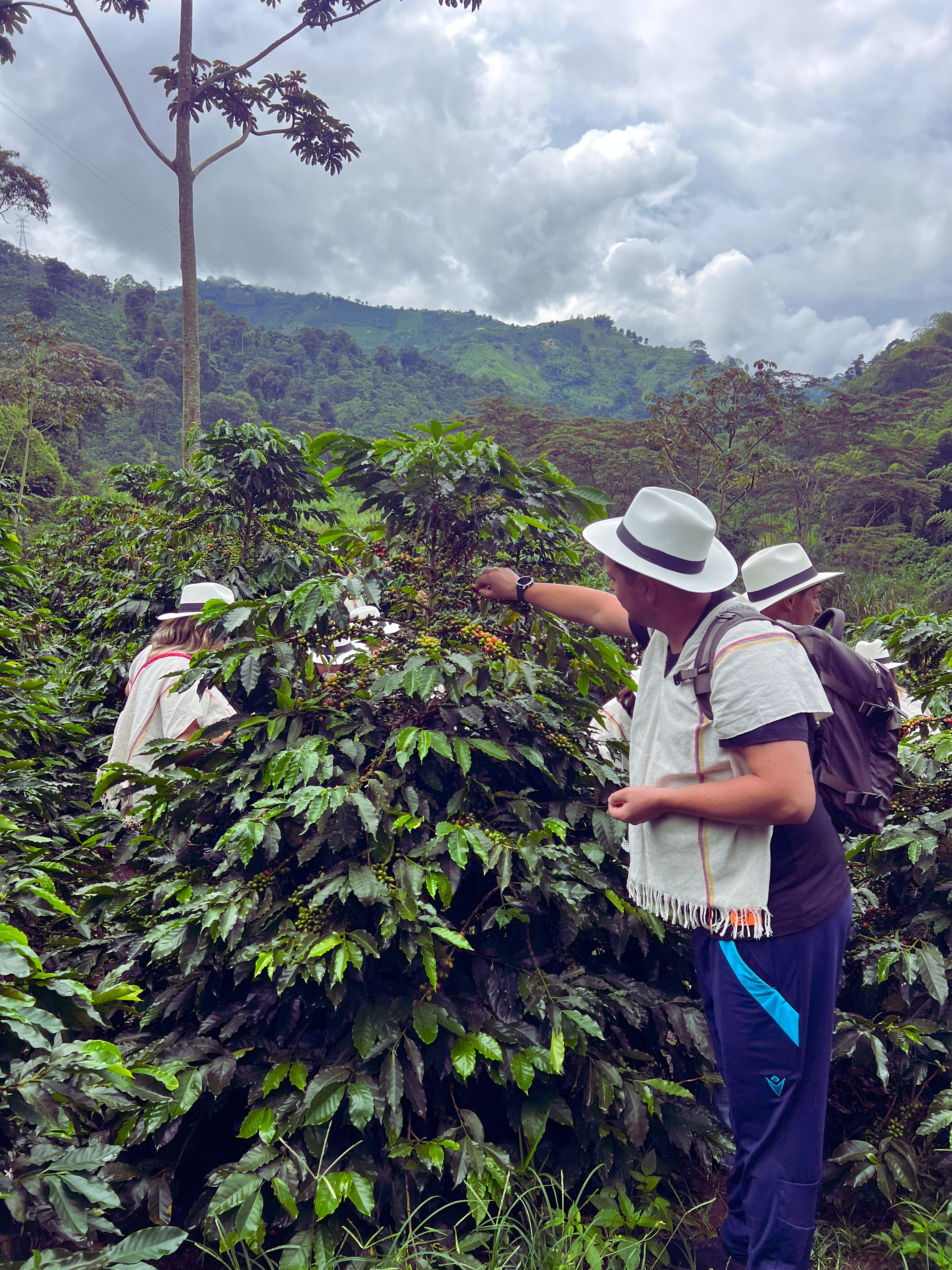 Flores exóticas de Colombia