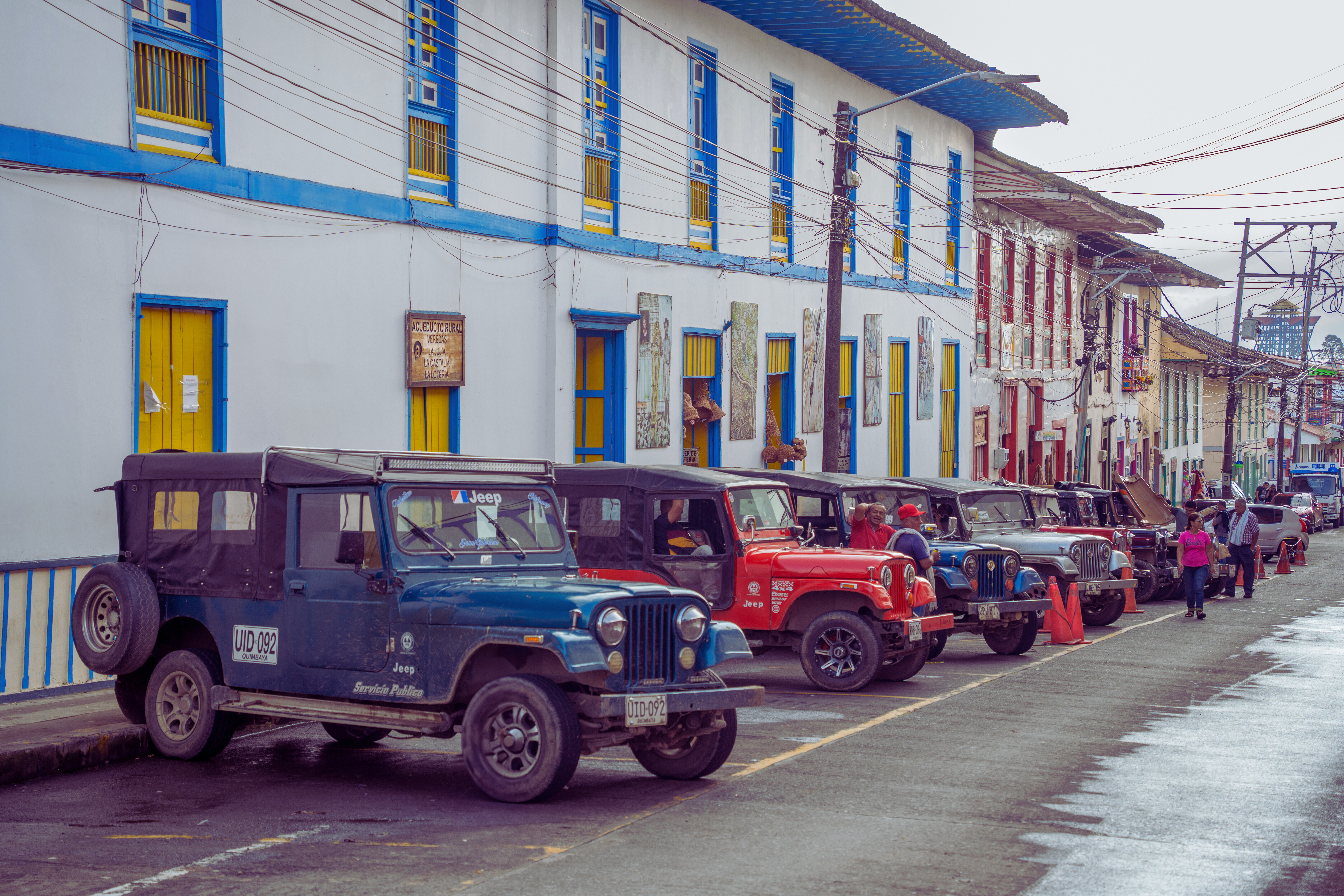 Bosque verde y frondoso
